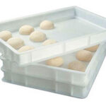 Pizza Dough Container