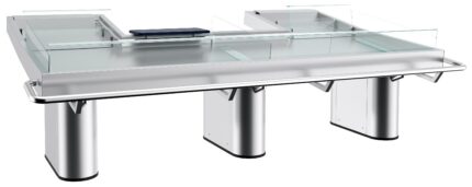 Fish Counter